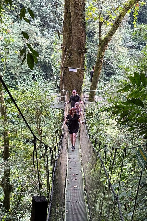 Hanging Bridges + Waterfall Tour - Xplore Manuel Antonio