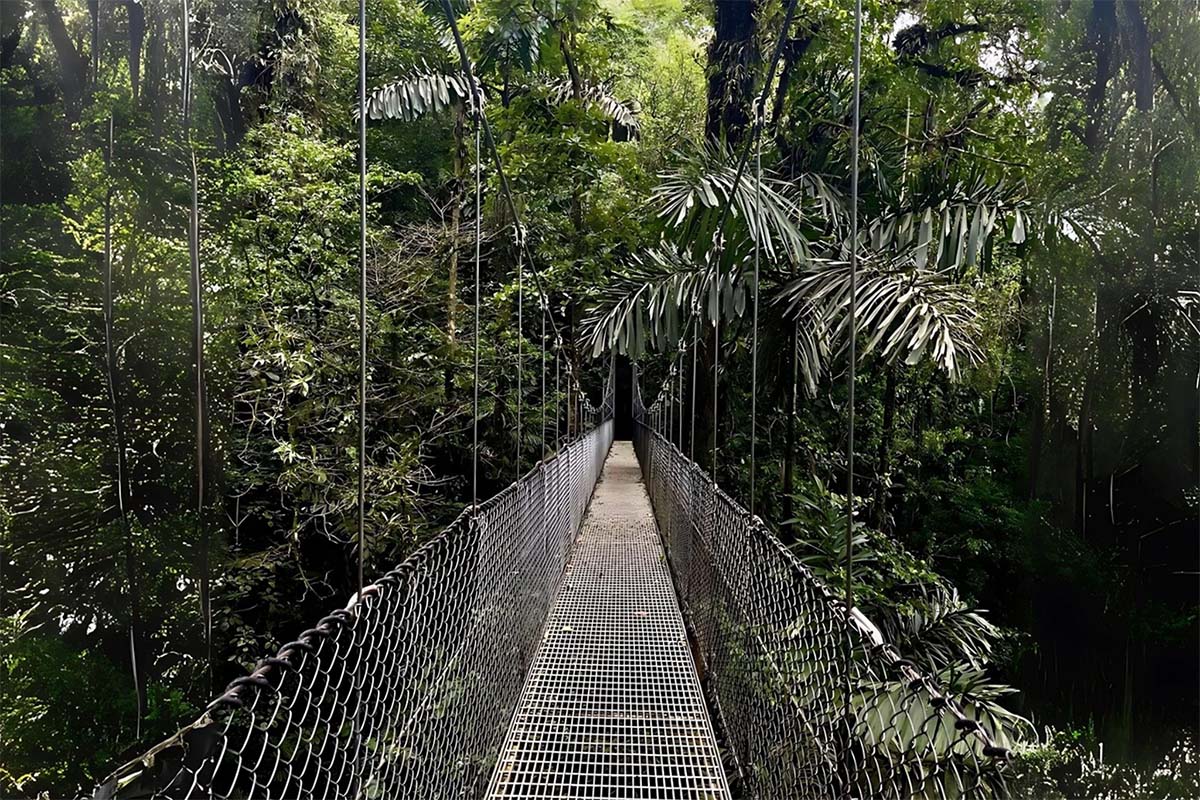 Hanging Bridges + Waterfall Tour - Xplore Manuel Antonio