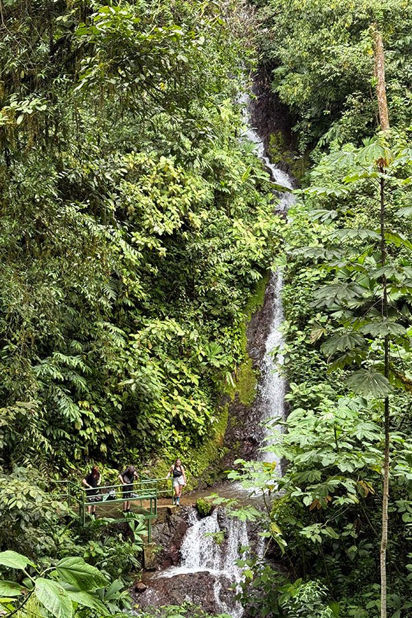 Hanging Bridges + Waterfall Tour - Xplore Manuel Antonio