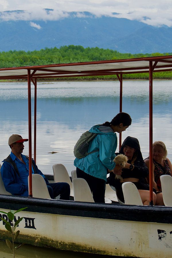 Mangrove Boat Tour - Xplore Manuel Antonio