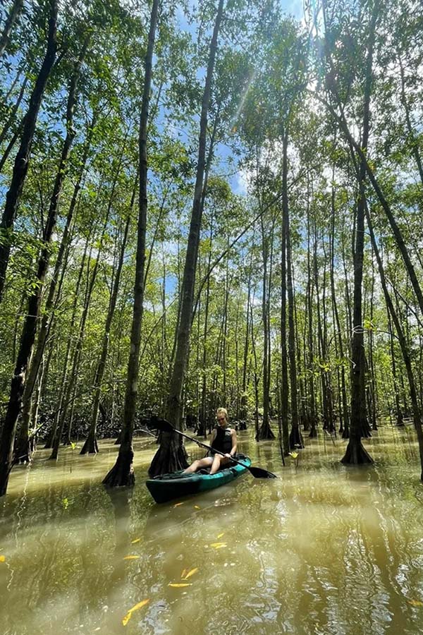 Mangrove Boat Tour - Xplore Manuel Antonio