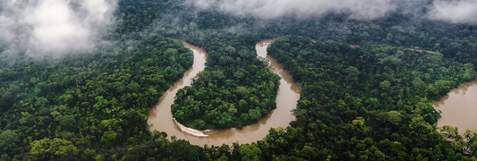 Fabio's Journey 🎒 Through the Amazon and South America 🐍 - Xplore Manuel Antonio