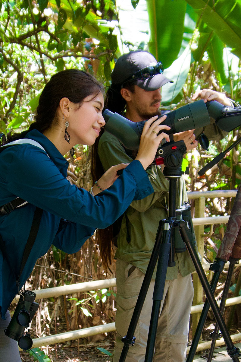Manuel Antonio Nationaal Parkrondleiding