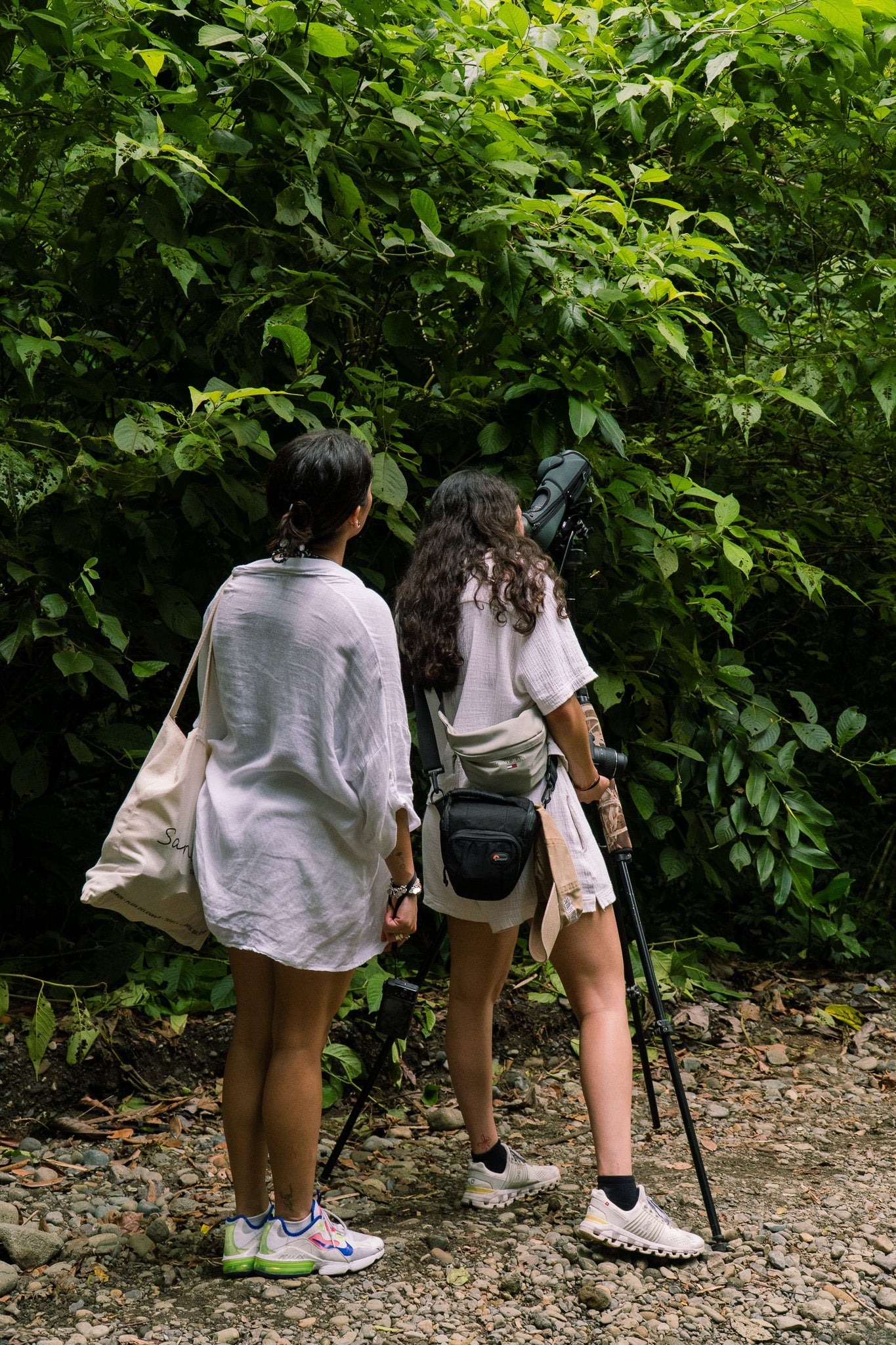 Birdwatching Tour in Esquipulas - Xplore Manuel Antonio