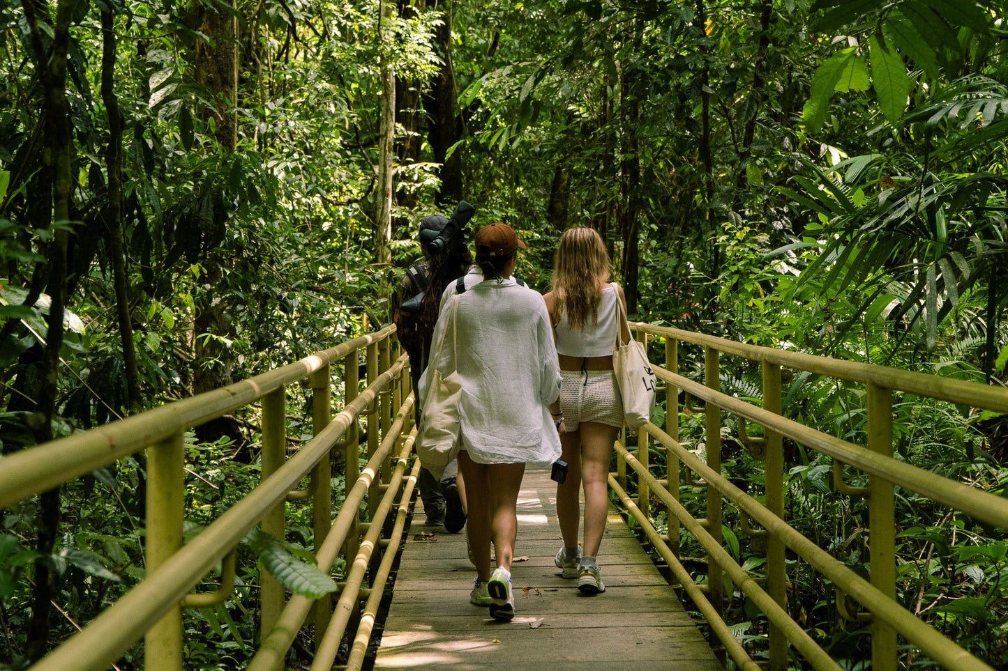 Hanging Bridges + Waterfall Tour - Xplore Manuel Antonio