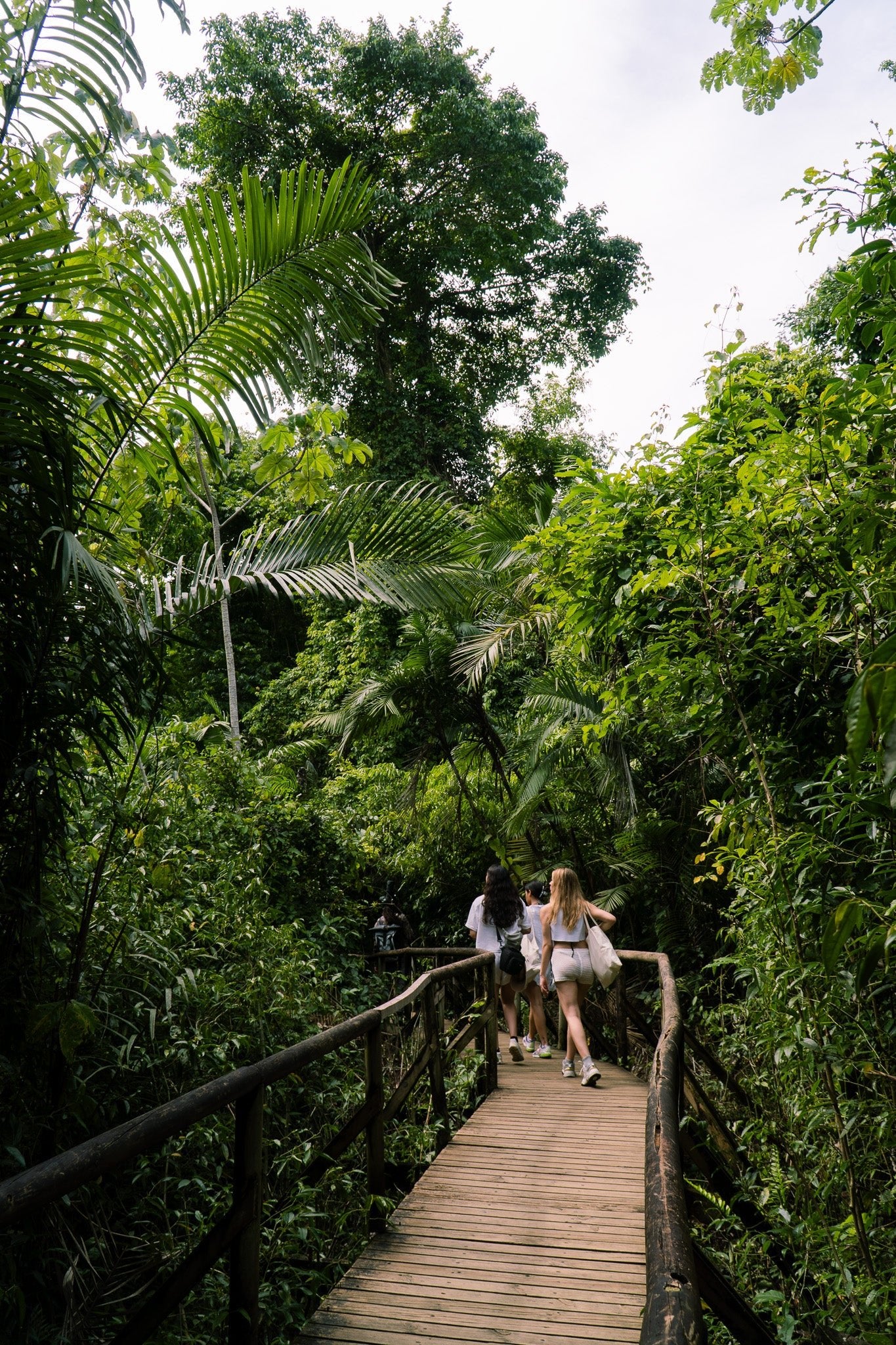 Hanging Bridges + Waterfall Tour - Xplore Manuel Antonio