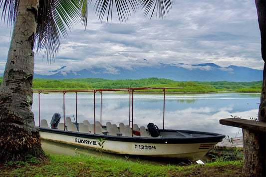 Mangrove Boat Tour - Xplore Manuel Antonio