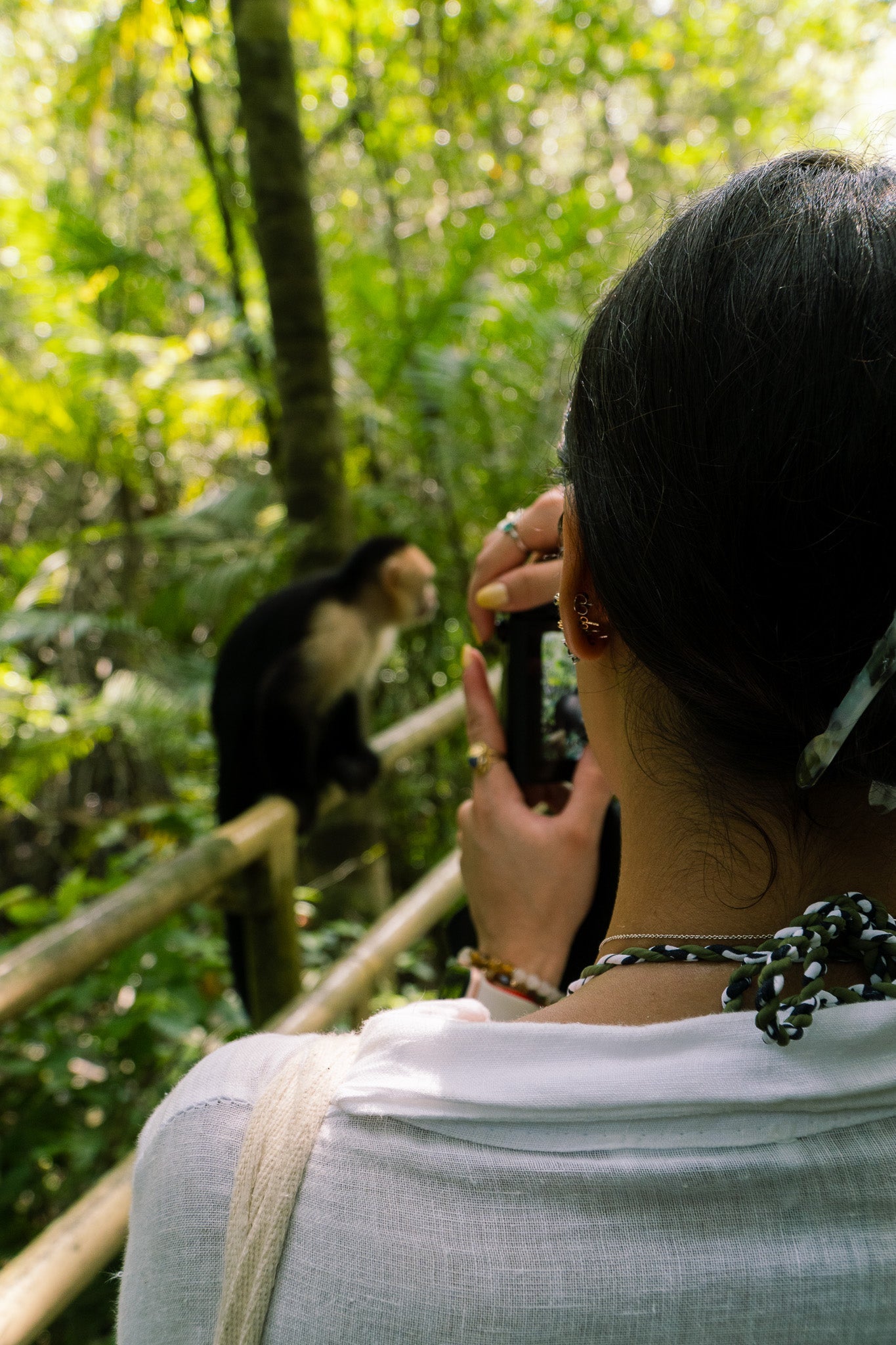 Mangrove Boat Tour - Xplore Manuel Antonio