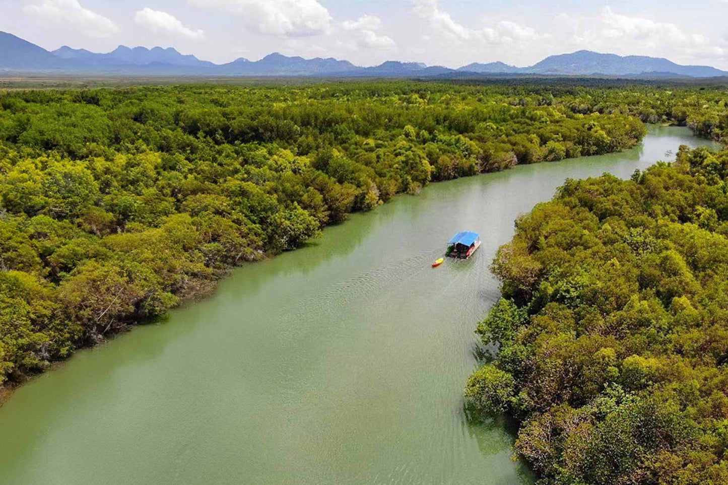 Mangrove Boat Tour - Xplore Manuel Antonio