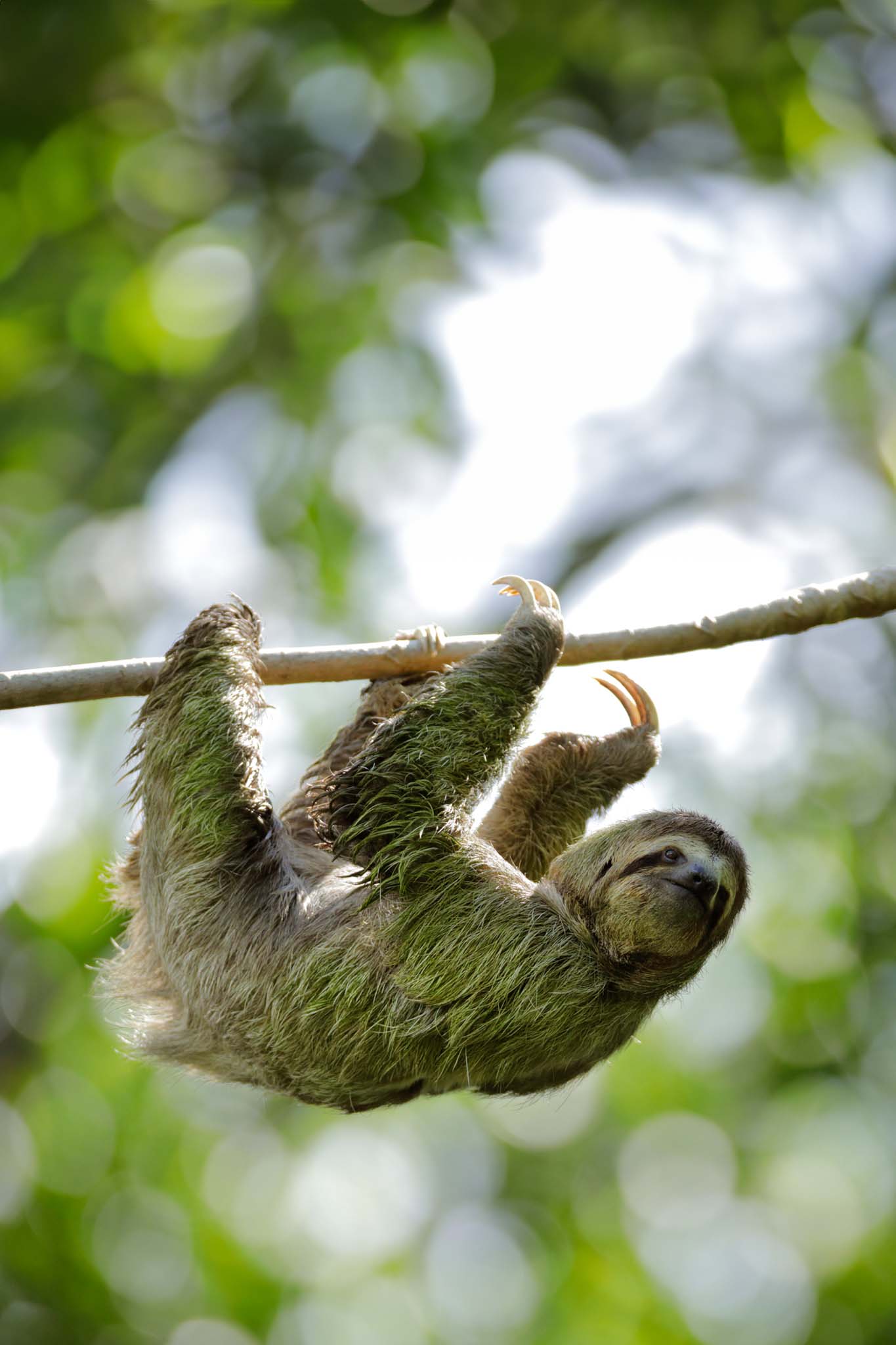 Manuel Antonio National Park Tour - Xplore Manuel Antonio