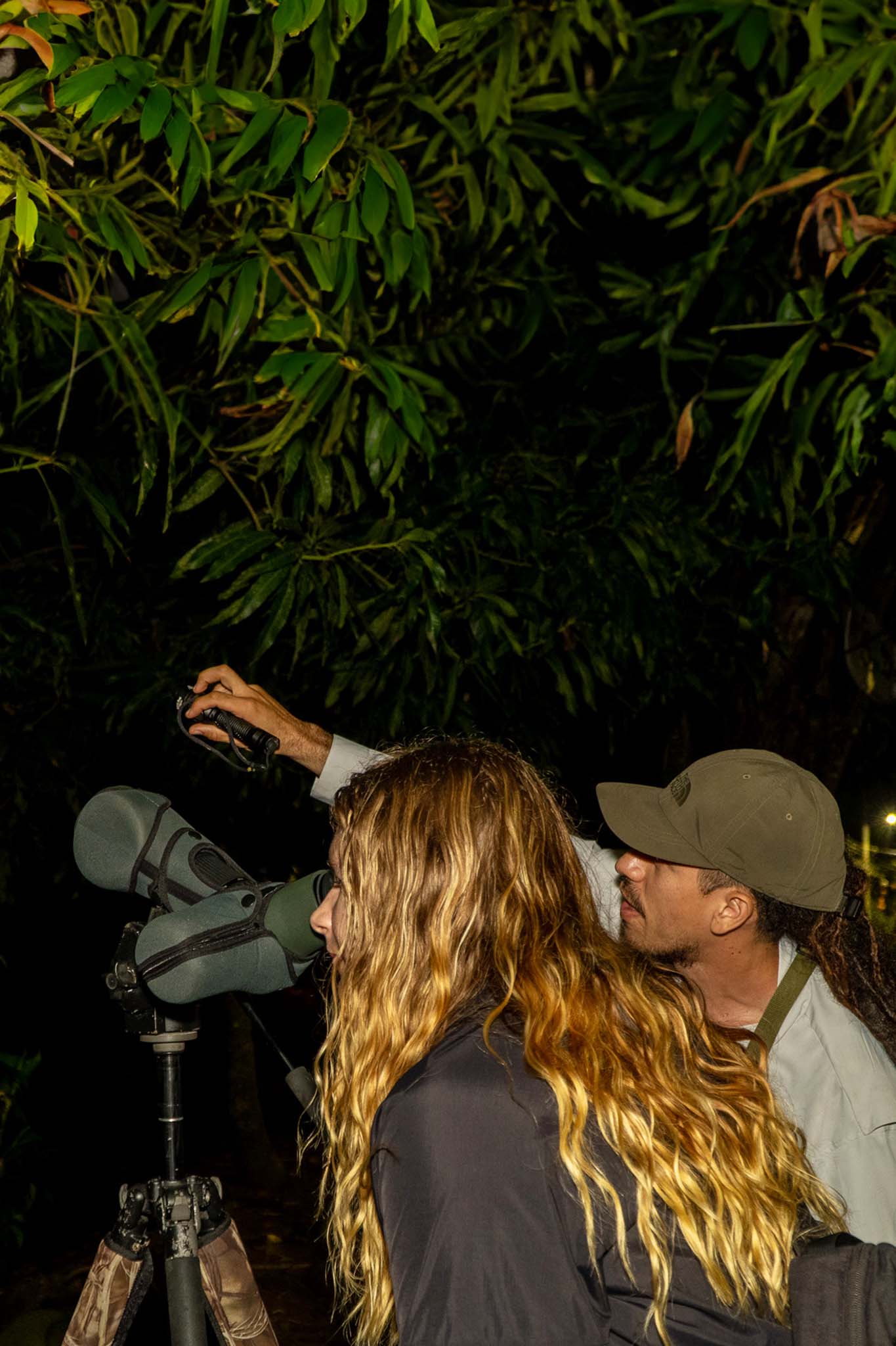 Night Walk Tour - Xplore Manuel Antonio