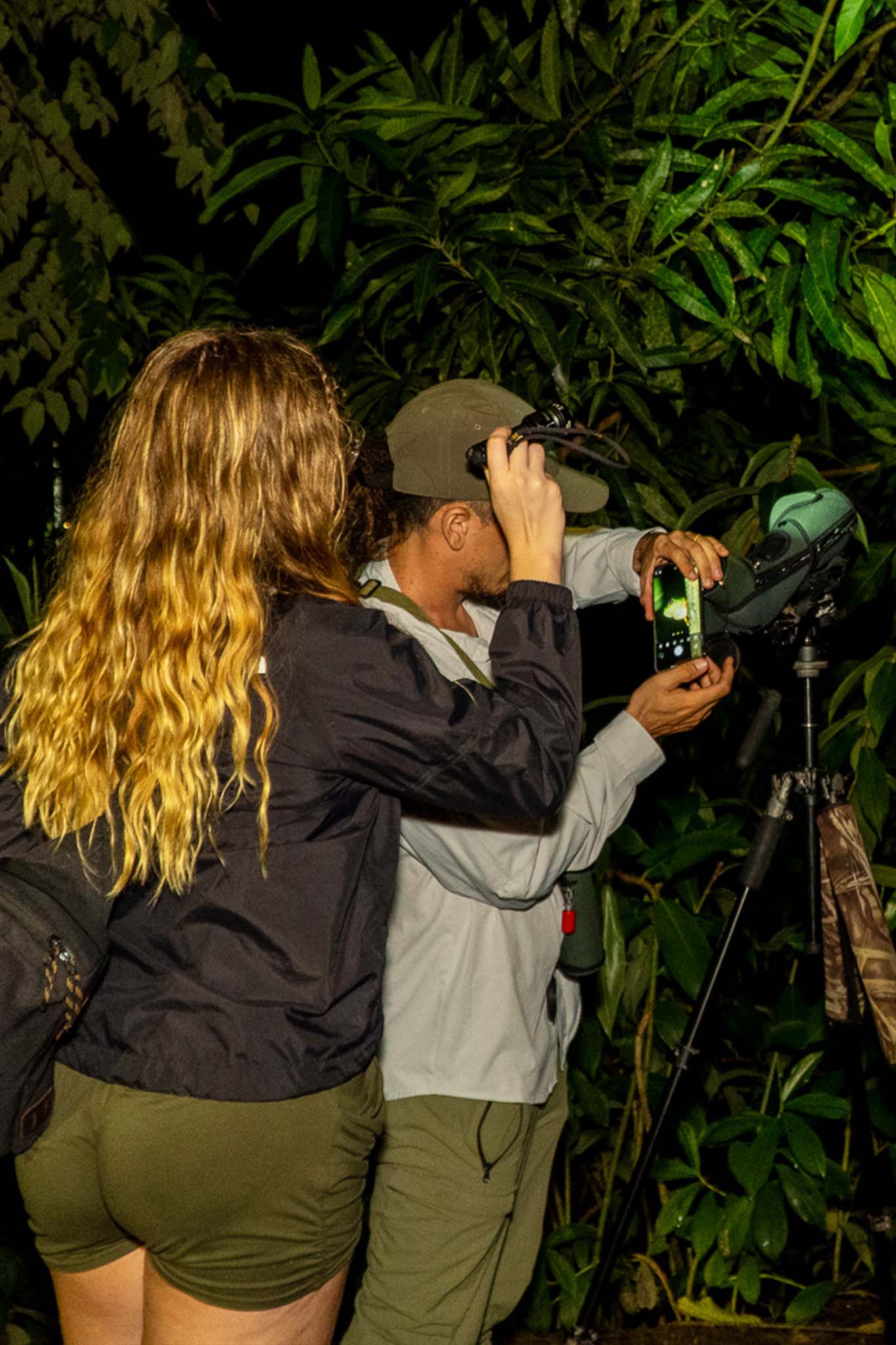 Night Walk Tour - Xplore Manuel Antonio